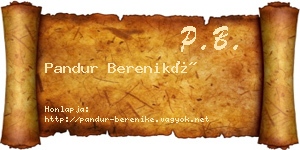 Pandur Bereniké névjegykártya
